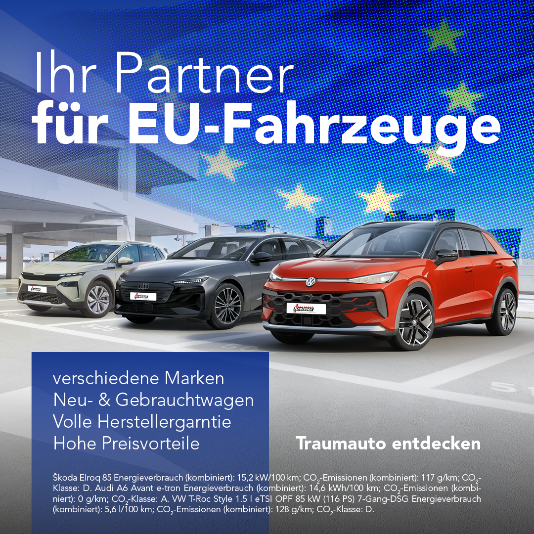 BEITRAG EU Partner