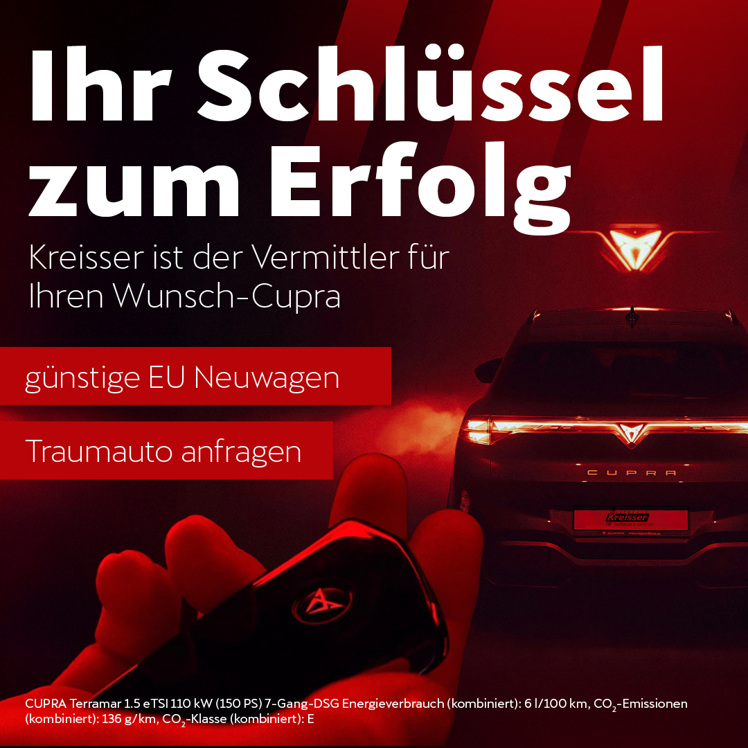BEITRAG Cupra Vermittlung