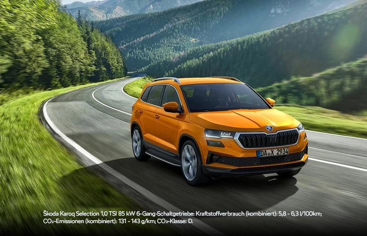 Skoda